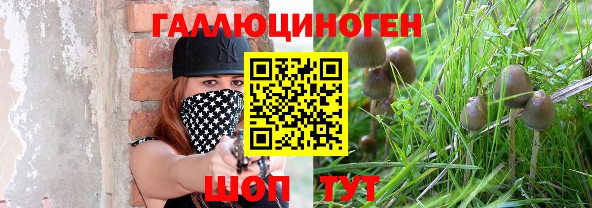 Псилоцибиновые грибы GOLDEN TEACHER  Вход с VPN  Малгобек  Псилоцибиновые грибы мицелий 